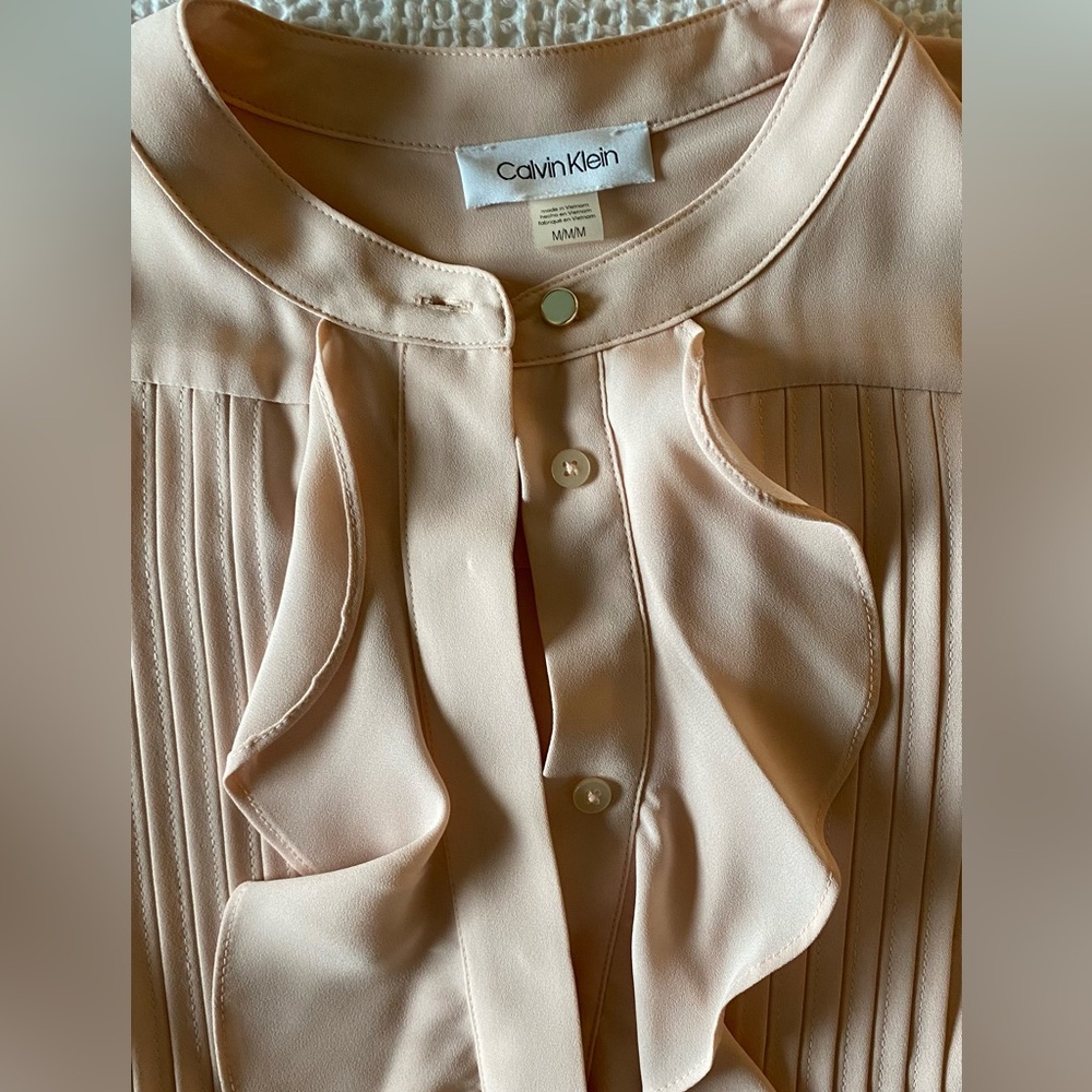 NWOT Sheer Ruffled Blouse - Picture 9 of 12
